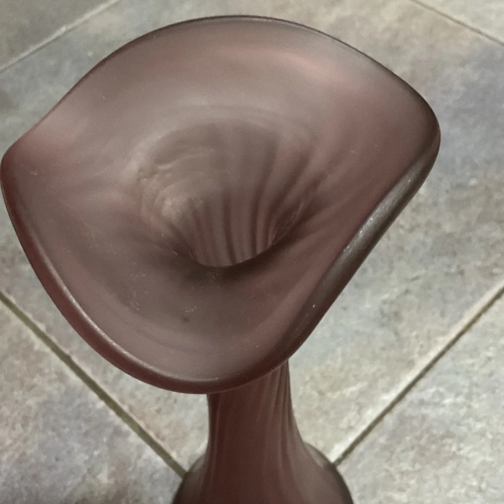 Elegant Purple glass vase